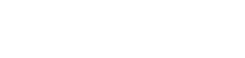 tooldow Logo